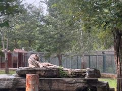 -秦皇岛野生动物园