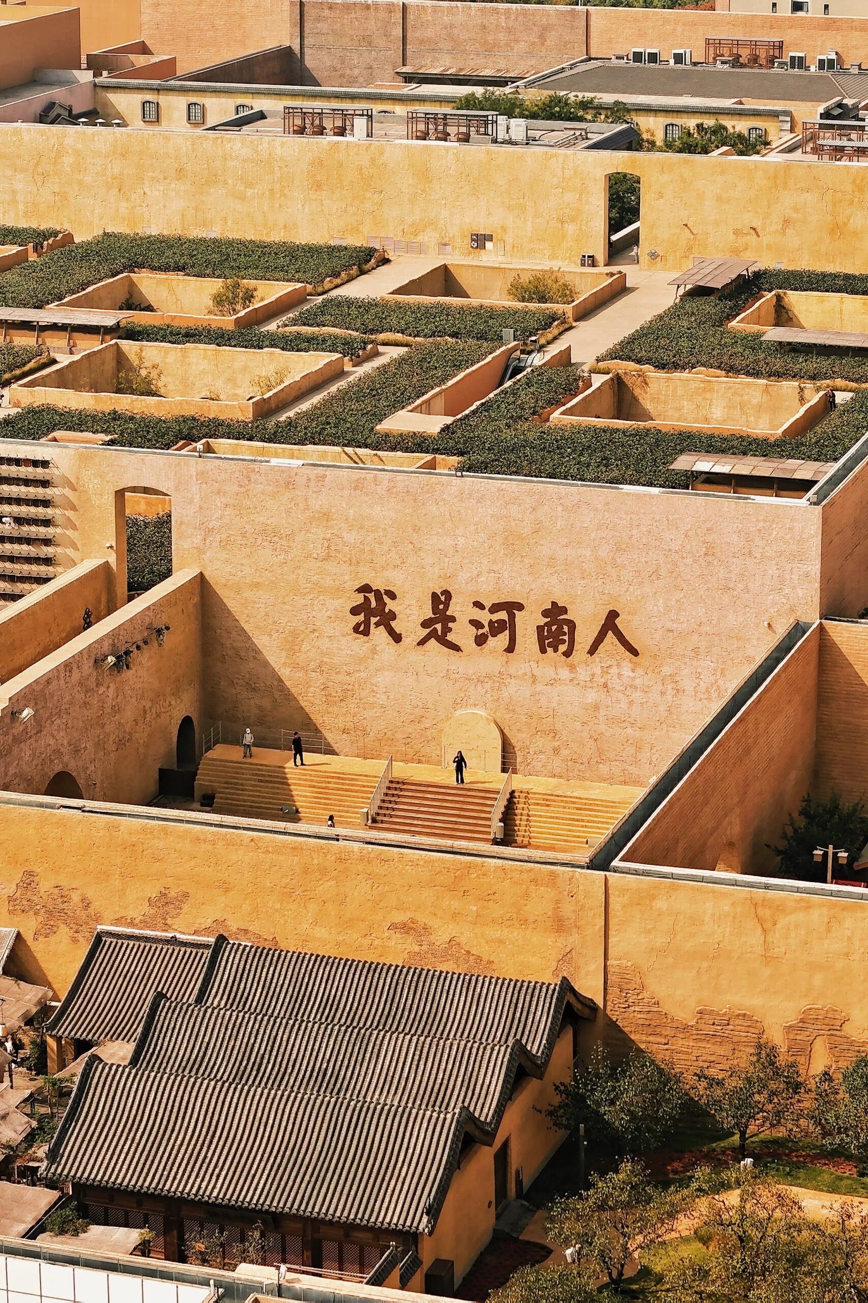 《只有河南》后劲太大了,听听我的真实感受