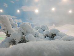 -世界之窗阿尔卑斯冰雪世界