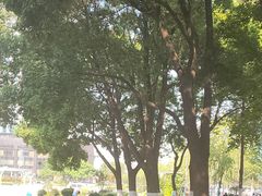 -西北湖绿化广场