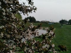 -银涛高尔夫练习场(徐泾店)