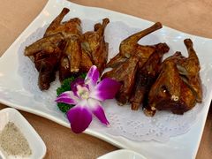 石岐乳鸽-轩记海鲜餐厅·四十五年老字号·经典粤菜(西区彩虹店)