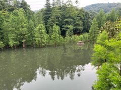 -广州市帽峰山景区
