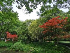 -食肆&Fourteen(武林夜市店)