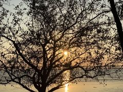 -宝安西湾红树林湿地公园