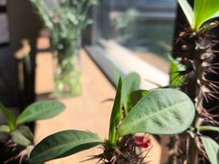 -瓦库茶馆17号(海汇港店)