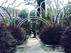 -九龙公园