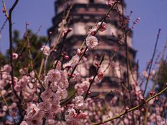 -虎丘山风景名胜区