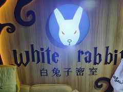 -白兔子密室(长寿路店)