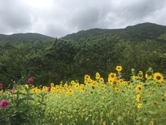 -丽江玉水寨