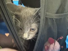 -爱派特动物医院·全科诊疗中心