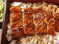-本格丼·炭火烤肉饭(大悦路成都大悦城店)