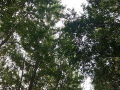 -长春公园(普阳街道)