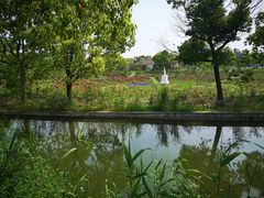 -上海杨姆庄园