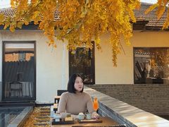 -自如ZSPACE四合院艺术餐厅