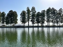 -东湖听涛景区