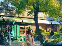 -三里屯东五街银杏大道