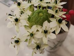-上上席川菜(凯德乐峰广场店)