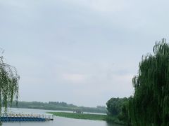 -大兴滨河森林公园