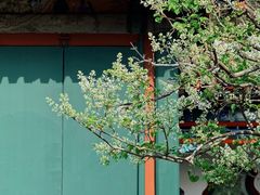 -宫事颐庭·老佛爷贵寿下午茶(颐和园店)