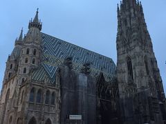 -斯蒂芬主教座堂(Stephansdom)