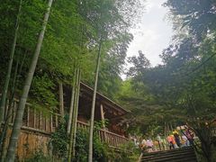 -宁波浙东大竹海景区