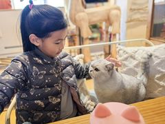 -小时光咖啡馆(开森度假森林店)