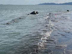 -青岛第二海水浴场