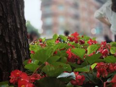 -上海宋庆龄故居纪念馆