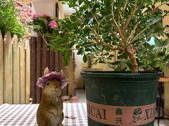 -萤火虫咖啡(后海店)
