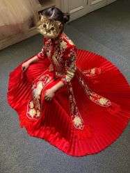 -南京宝娜嫁衣婚纱礼服馆(中央路店)