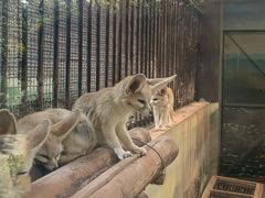 -昆明动物园