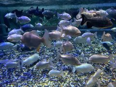 -成都浩海立方海洋公园