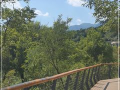 -白水寺森林公园