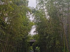 -龙潭水乡