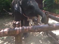 -普吉镇