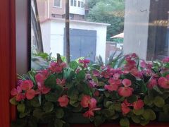 -天津大学·四十二斋餐厅