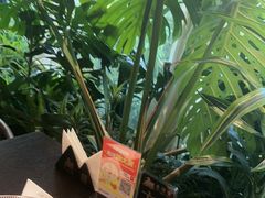 -太守宴·蘭院(天塔店)