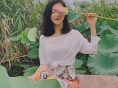 -白洋淀景区