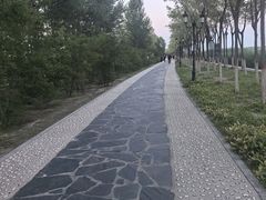 -南湖湿地公园