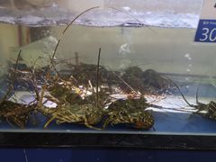 -欢乐海岸美食联盟