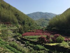 -鹿亭中村