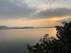 -望湖烤鱼