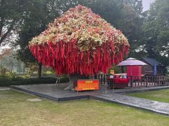 -狼山风景名胜区