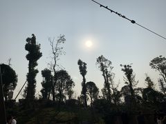 -枫香湖儿童公园