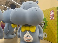 -盒马X会员店(王府井奥莱UP TOWN店)