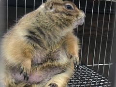 -乐宠宠物店(世纪金源店)