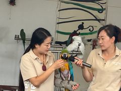 -南戴河国际娱乐中心