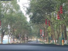 -河姆渡遗址博物馆