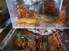 -海上人家The Sea Food Paradise Restaurant & Bar